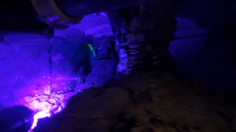 Colorant traceur sous lampe UV révélant la fuite sous le receveur